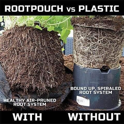Best Root Pouch 7 Gallon (10 Pack) Fabric POTS and Grow Bags from MAUI MIKE'S.Soft POTS Have Sewn Handles for Easy Moving Grow Bigger and Healthier Tomatoes,Herbs and Veggies.