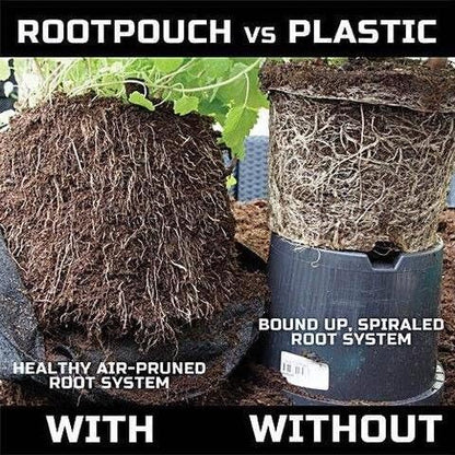 Root Pouch Degradable Pot Bundle of 25, 3 Gallon - 18-24 Month