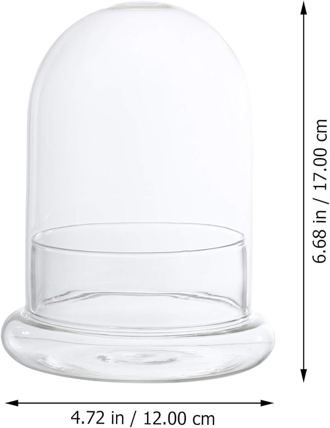 Cabilock Glass Terrarium Bottle 6.10X4.72X4.72In with Clear Dome for Micro Landscape Display and Plant Humidity Control Indoor Garden Decor