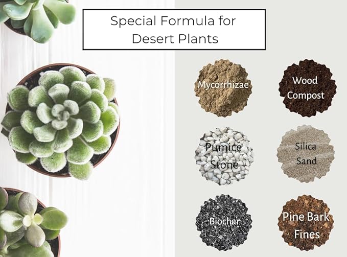 Succulent and Cacti Soil, Organic. 5lb Bag with Biochar, Mycorrhizae, Pumice Stone, Pine Bark Fines, and Silica Sand. for Cactus, Palm, Succulent, and All Other Desert Plants.