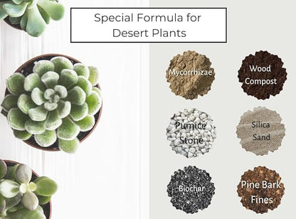Succulent and Cacti Soil, Organic. 5lb Bag with Biochar, Mycorrhizae, Pumice Stone, Pine Bark Fines, and Silica Sand. for Cactus, Palm, Succulent, and All Other Desert Plants.