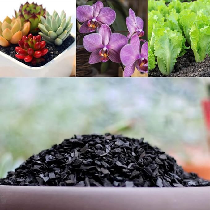 Horticultural Charcoal for Plants 2 qt, All Natural Hardwood Charcoal, Activated Charcoal for Soil Amendment, Orchids, Terrariums, and Gardening