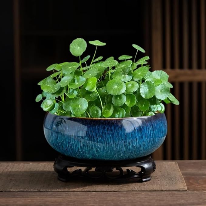 Lotus Bowl Planter, Lotus Bowls for Planting in Water Indoors, Bonsai Bowl Lotus Flower Seeds, Ceramic Planters for Indoor Plants (Dark Blue)