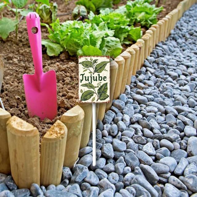 Uptell Vintage Aluminum Jujube Fruit Signs Yard Sign with Stake for Garden Fruit Garden Label Stakes Plant Markers for Outdoor Plants Waterproof 7x8.8 inch
