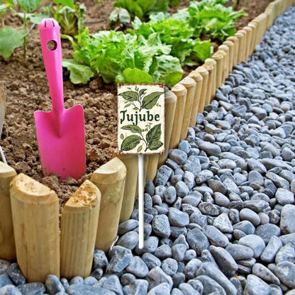 Uptell Vintage Aluminum Jujube Fruit Signs Yard Sign with Stake for Garden Fruit Garden Label Stakes Plant Markers for Outdoor Plants Waterproof 8x12 inch