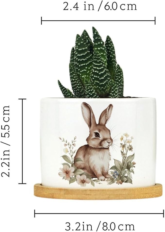 DreamAutumn Watercolor Easter Bunny Ceramic Pots for Plants with Drainage Holes Round Flower Pot Bamboo Tray Orchid Pot Succulents Pots for Outdoor Indoor Plants
