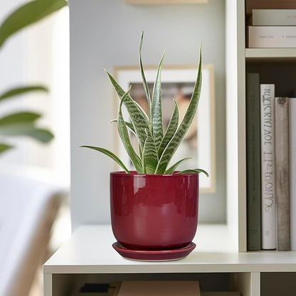 Ceramic Plant Pot - 5 Inch Modern Round Planter for Indoor Plants with Drainage Hole and Saucer, Patio Office House Room Bathroom Decor, Red