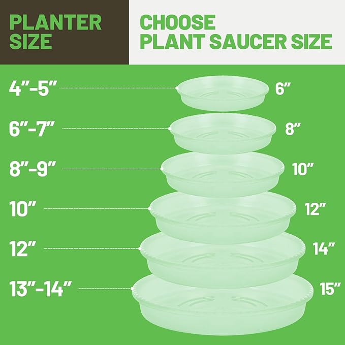 MUDEELA 6 Pack of 14 Inches Plant Saucers for Indoor, Durable Plastic Round Plant Tray Plant Dish Pant Plate to Catch Water for Flower and Plant Pot, Thicker, Stronger, Deeper, Clear