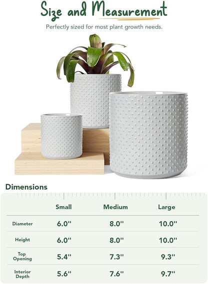 LE TAUCI Ceramic Pots for Plants, 10/8/6 Inch Indoor Planters with Draiange Hole, Silicone Plug & Mesh Pad, Modern Rasied-Dots Pots for Home Office, Set of 3, Glossy, Star Gray