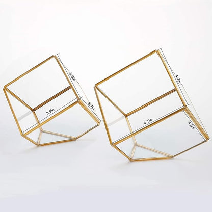 ELEGANTLIFE Glass Geometric Plant Terrarium,Succulent & Air Planter for Home Garden Office Decoration(Gold Cubic Set of 2)