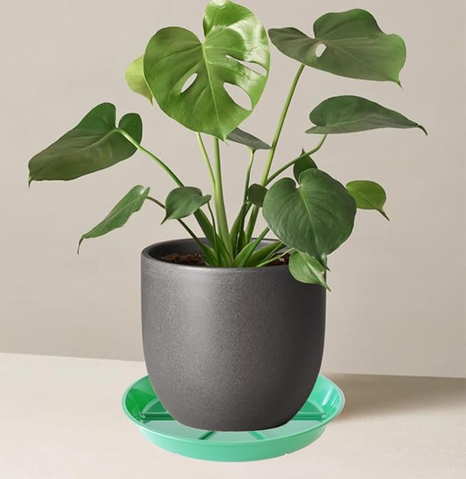 Plant Saucer Pot Tray 14 inch, 2 Packs Flower Planter Saucers and Drip Trays, Heavy Duty Round Plastic Flower Plant Dish Pant Plate to Catch Water for Indoor & Outdoor, Green