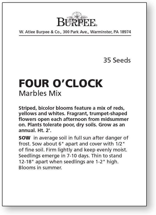 Burpee Marbles Mix Four O'Clock Seeds 35 Seeds (Pack of 2)
