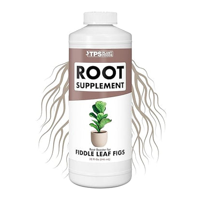 Root Stimulator for Fiddle Leaf Figs – Liquid Root Booster with Probiotics & Seaweed to Support Healthy Root Growth, 32 oz