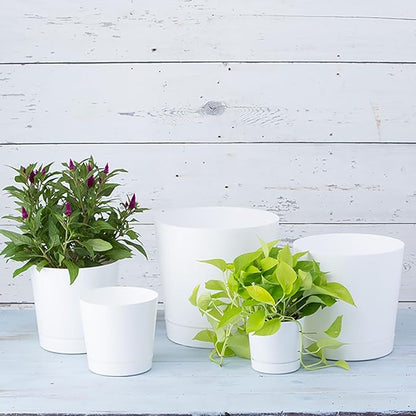 Novelty Majestic Full Depth Cylinder Pot, Glossy White, 12-Inch (10122)