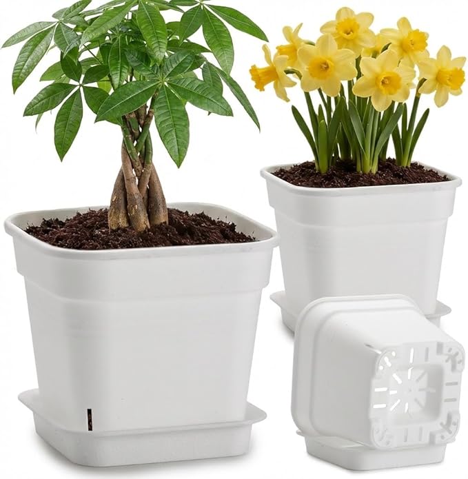 6 Pack 6/8/10 Inch Square Plant Pots with Saucers - 24-Strip Airflow Drainage for Root Health - Heavy Duty 5mm Thick White Plastic Orchid Planters for Indoor Outdoor Flowers, Herbs & Succulents