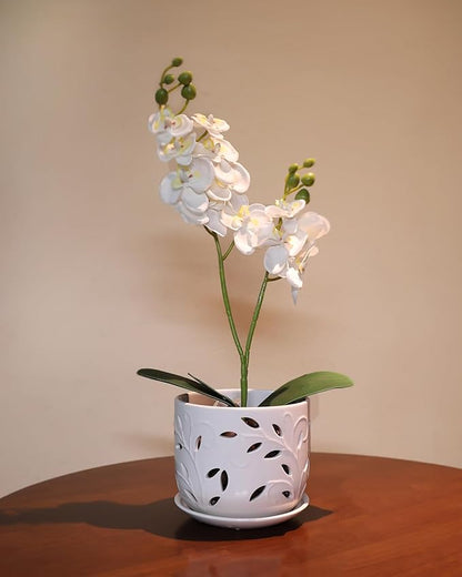 EFISPSS Orchid Pot with Holes, 5+6Inch Ceramic Plant Pots with Drainage Holes and Tray, Promoting Air Circulation and Drainage, Indoor/Outdoor White Flower Pots