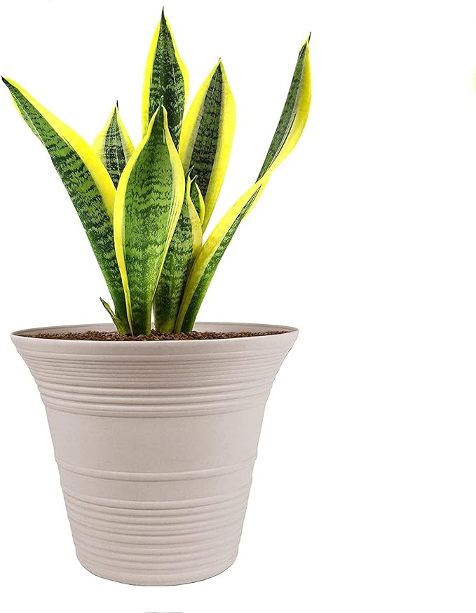 The HC Companies 7 Inch Sedona Round Self Watering Planter - Small Decorative Lightweight Plastic Plant Pot for Indoor Outdoor Plants Flowers Herbs, Cottage Stone (Pack of 2)