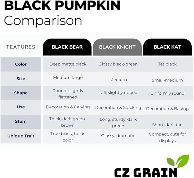 Exotic Black Kat Pumpkin Seeds for Planting (10 Seeds) – Deep Black, Smooth-Skinned Pumpkins – Rare Decorative Variety for Fall Gardens, Halloween Displays & Autumn Décor