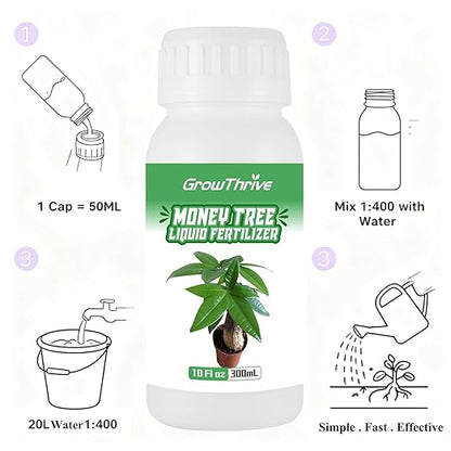 Money Tree Fertilizer for Money Trees and All Pachira Plants,Microbial Organic Liquid Plant Food for Houseplants’ Healthy Growth & Glossy Leaves 10 oz (300mL)