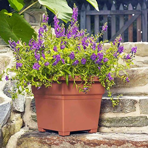 Root & Vessel Countryside Square Planter, Terra Cotta, 18-Inch