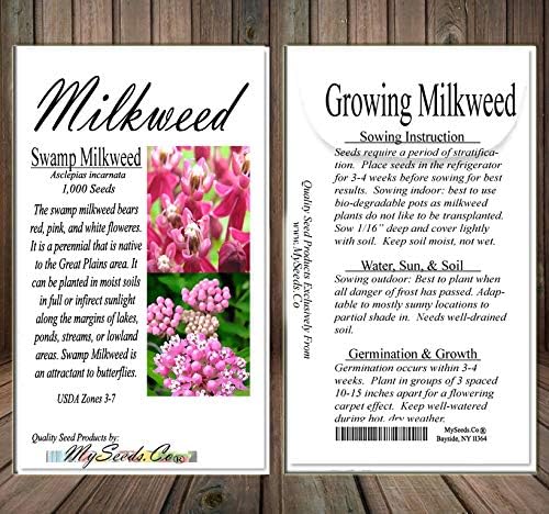 Big Pack - (1,000) Pink Swamp Milkweed Seeds, Asclepias incarnata (Big Pack Swamp Milkweed)