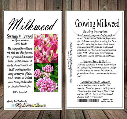 Big Pack - (1,000) Pink Swamp Milkweed Seeds, Asclepias incarnata (Big Pack Swamp Milkweed)
