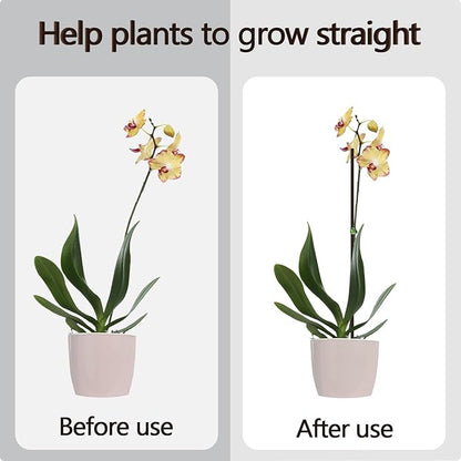 20Pcs Plant Stakes,Plant Sticks,Garden Brown Bendable Single Stem Plant Support Stakes for Indoor and Outdoor Plants,Potted Plants,Flowers Orchid Peony Rose-16 Inches