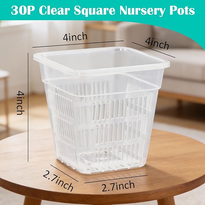 BTPLASTIK Clear Square Nursery Pots, 30 Packs 4 Inch Clear Air Pruning Square Pots, Transparent Plastic Plant Pots for Seed Starting, Root Cutting