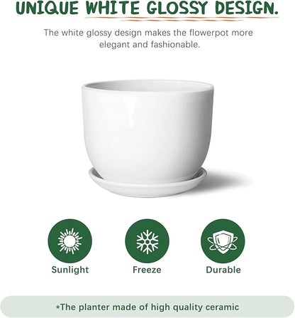 8 Inch Ceramic Planter, Plant Pots with Drainage Hole and Separable Saucer,Indoor-Outdoor Round Succulent Orchid Flower Pot,Indoor pots for Plants(Smooth White,Plant Pot only)