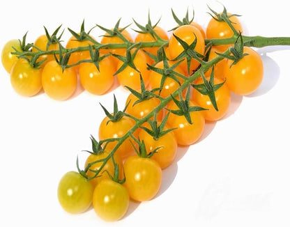 Seeds Golden Cherry Tomato Indeterminate Non GMO Vegetable for Planting