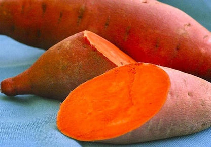 Generic 50pcs Sweet Potato Vegetable Seeds Orange
