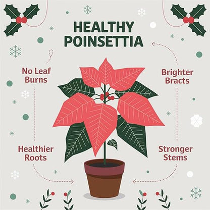 Gardenera Poinsettia Plant 3-1-2 Fertilizer Spray - Organic Liquid Plant Food Mist for Christmas Flowers and Trees - 8oz