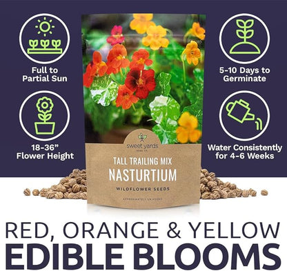 Nasturtium Seeds – Mixed Colors – Bulk Quarter Pound Bag – Over 900 Open Pollinated Non-GMO Flower Seeds – Tropaeolum majus