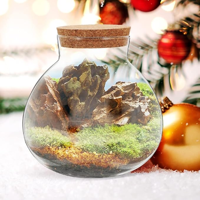 2Pcs Airtight Glass Terrarium Bottles 5.11 Inch Round Sealed Planters with Cork Lid for Succulent Plants Micro Landscape Home Decor