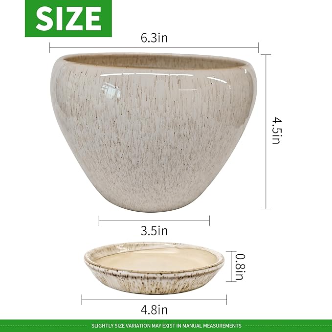 Deep Dream 6 Inch Plant Pots- Ceramic Planter Pot with Drainage Hole and Saucer, Round Flower Pot for Indoor Outdoor Succulent, Snake Plants and Cactus, Beige