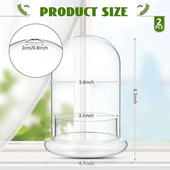 2 Pcs 4.7 x 6.3 Inch Glass Terrarium Clear Terrarium Planter Container Glass Dome Cloche with Airhole and Base for Plant Flower Home Tabletop Display Centerpiece, Plants Not Included