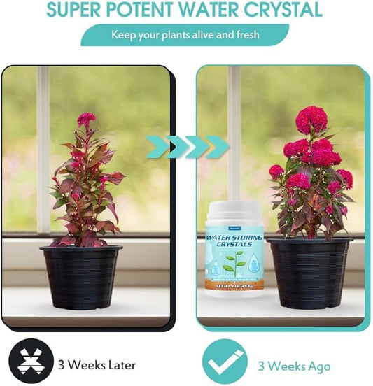 1LB Water Storing Crystals for Plants with Spoon, Water Gel Solves Plant Over-Watering and Drought Problems, Keeps The Soil Moist, Small Water Storing Polymer Crystals for Plants Candle - by Oycevila