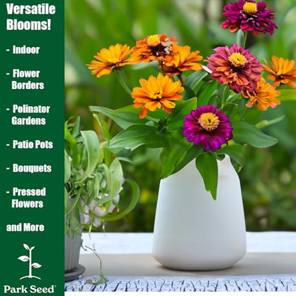 Park Seed Zinnia Flower Planting Seeds, Easy to Grow, Perfect for Spring Garden, Funfair Mix, Pack of 50