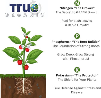 True Organic Liquid All Purpose Plant Food – Organic Fertilizer for Fruits, Flowers, Vegetables, Herbs & Foliage – Indoor & Outdoor Use – 32 fl. oz. – Covers 60 sq. ft.- Case of 6