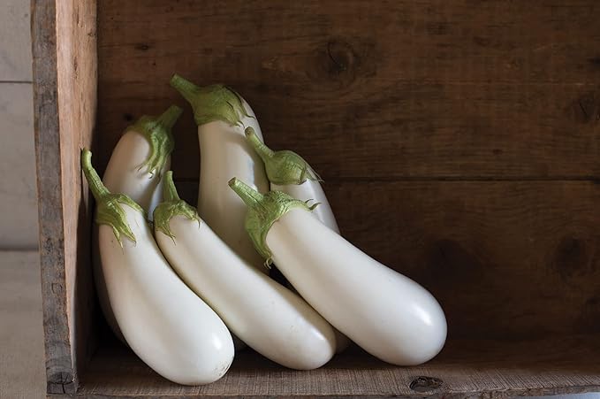 Seeds White Eggplant - Heirloom Vegetable - GMO Free