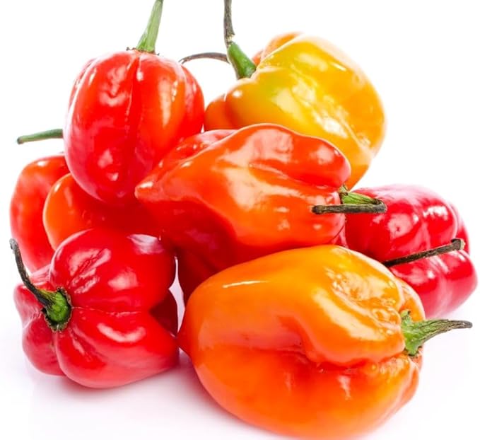 35+ Pcs Hot Pepper Seeds for Planting Ghost Habanero - Mix Ghost Pepper Seeds, Red, Orange, Yellow, Habanero Seeds for Planting in Garden Non GMO, Heirloom Peppers Seeds