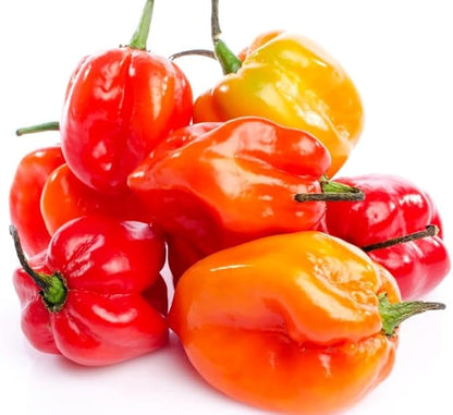 35+ Pcs Hot Pepper Seeds for Planting Ghost Habanero - Mix Ghost Pepper Seeds, Red, Orange, Yellow, Habanero Seeds for Planting in Garden Non GMO, Heirloom Peppers Seeds