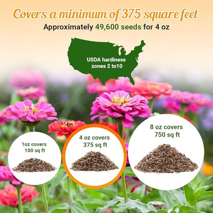 Monarch Butterfly Rescue Wildflower Seeds 4oz. Bulk Open-Pollinated Wildflower Seed Packet, No Fillers, Annual, Perennial Milkweed Seeds for Monarch Butterfly 1/4 Pound