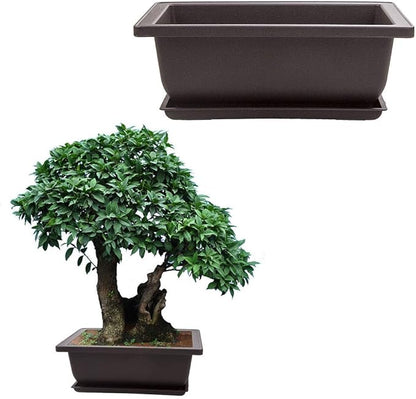 LANIAKEA 12 Pack Bonsai Pot with Trays 6.5 Inch Nursery Pots with Drainage Plastic Bonsai Training Pots for Home Furnishings Décor Flower Nursery Brown