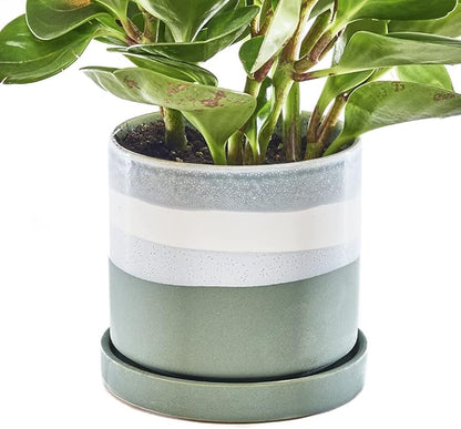 CHIVE ‘Minute’ Ceramic Planter Pot — Cute 5” Colorful Succulent Pots for Indoor & Outdoor House Plants — Beautiful Modern Farmhouse Kitchen Decor — Matte Green