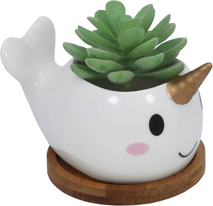 Cute Narwhal Succulent Planter Pot with Drainage Tray, Small White Ceramic Cactus Flower Container, Animal Whale Indoor Air Plants Holder
