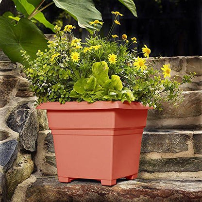 Root & Vessel Countryside Square Planter, Terra Cotta, 18-Inch
