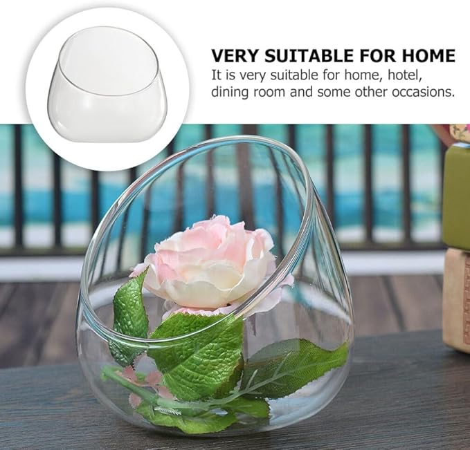 Cabilock 2pcs Transparent Glass Micro Landscape Bottles Multi-Functional Household Storage Holders for Succulents Plants and Home Organization