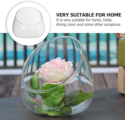 Cabilock 2pcs Transparent Glass Micro Landscape Bottles Multi-Functional Household Storage Holders for Succulents Plants and Home Organization