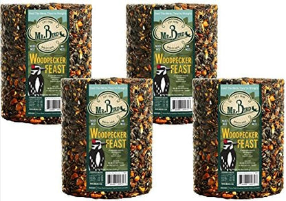 Mr. Bird Woodpecker Feast Birdseed Cylinder - Large 6" Diameter
